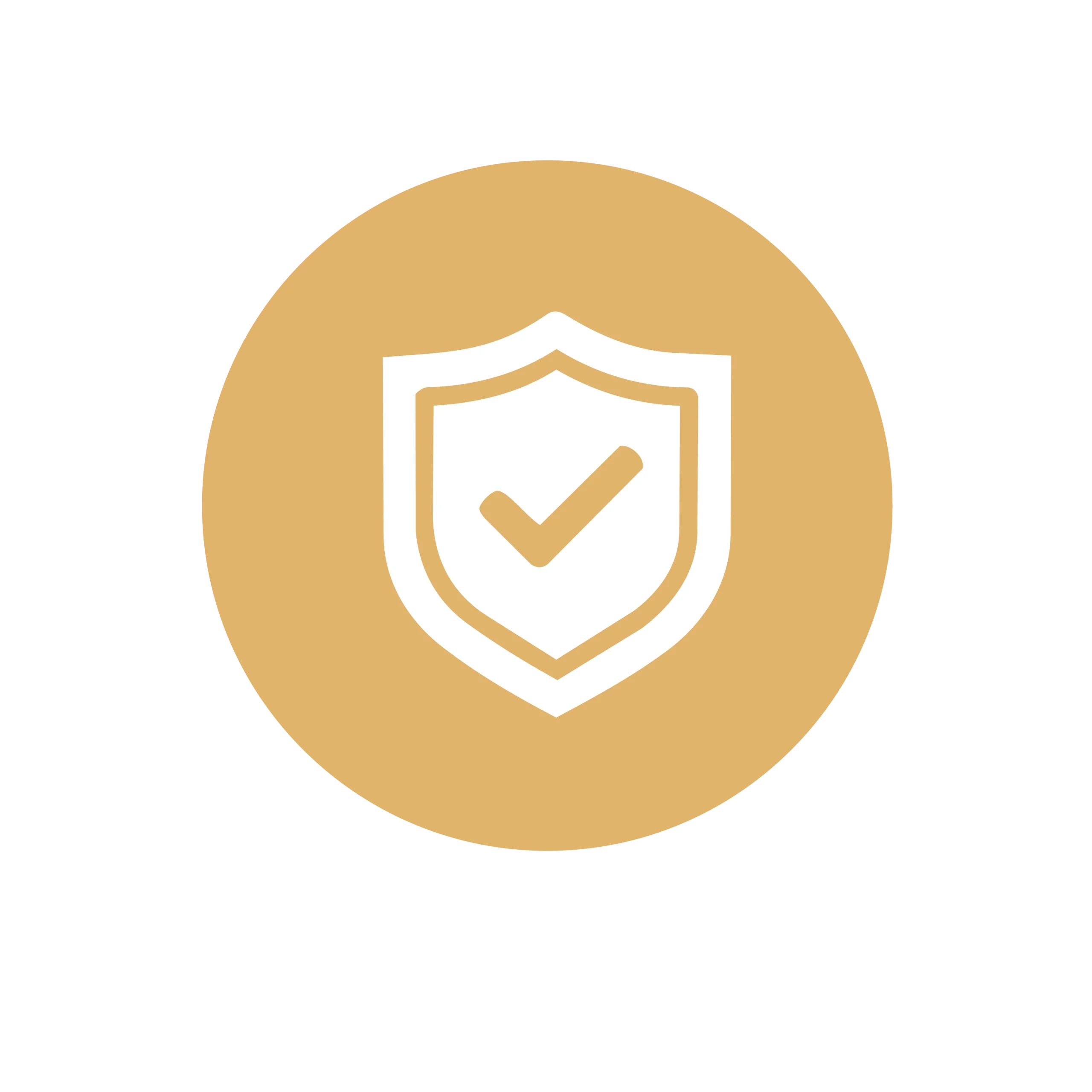 ikonki2_ Model--No Risk-